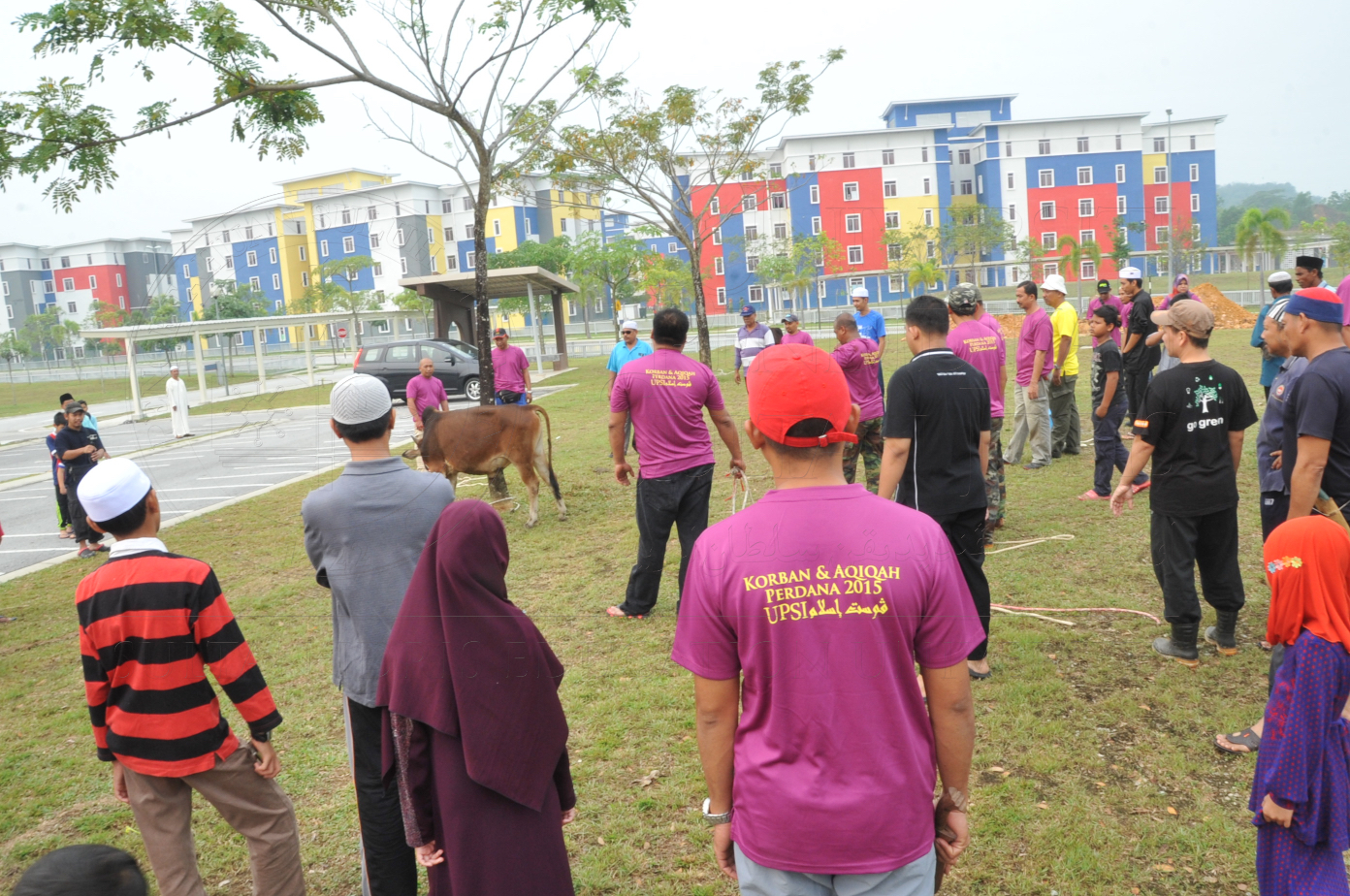 PRO15 150 KORBAN HAS 6727